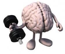 brain