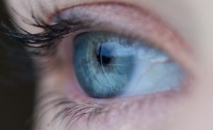 an eye
